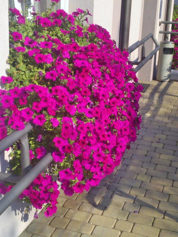 Pokoje Hotelowe Wiktoria Goczałkowice-Zdrój Buitenkant foto